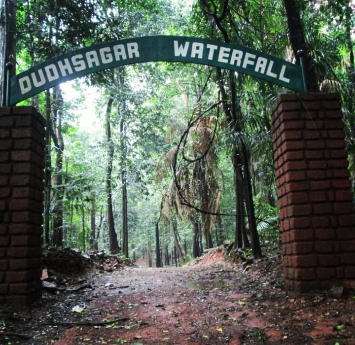 Entrance gate to the Dudhsagar Waterfall trail
