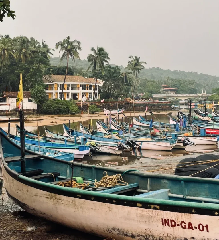 Fishing Village, Goa