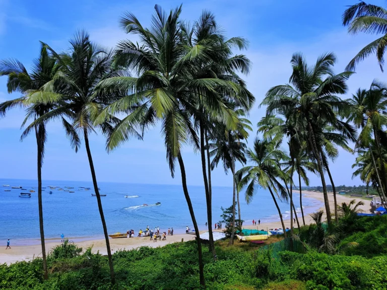 Palm-fringed Shore, Goa