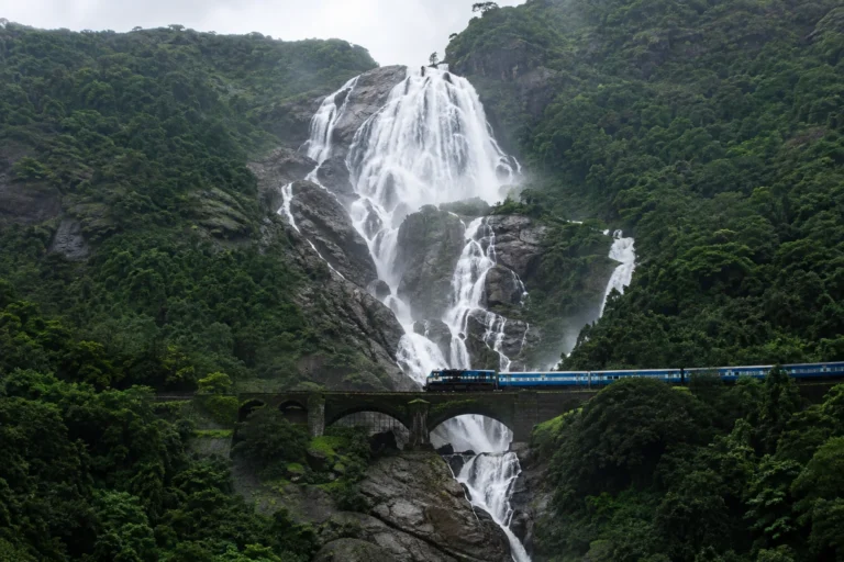 Dudhsagar Falls & Train, Goa