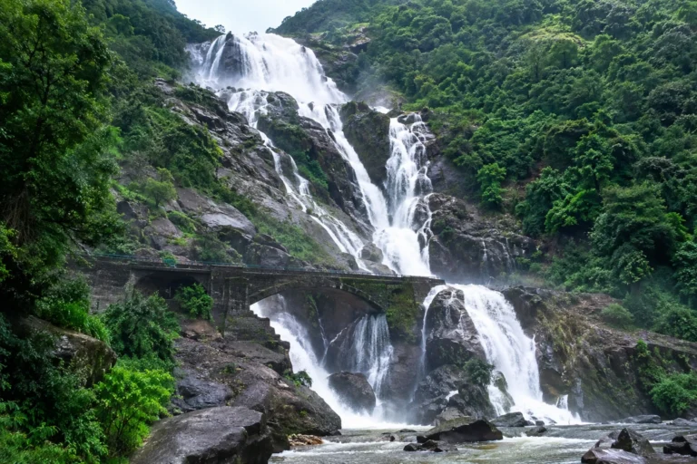 Dudhsagar Waterfall, Goa