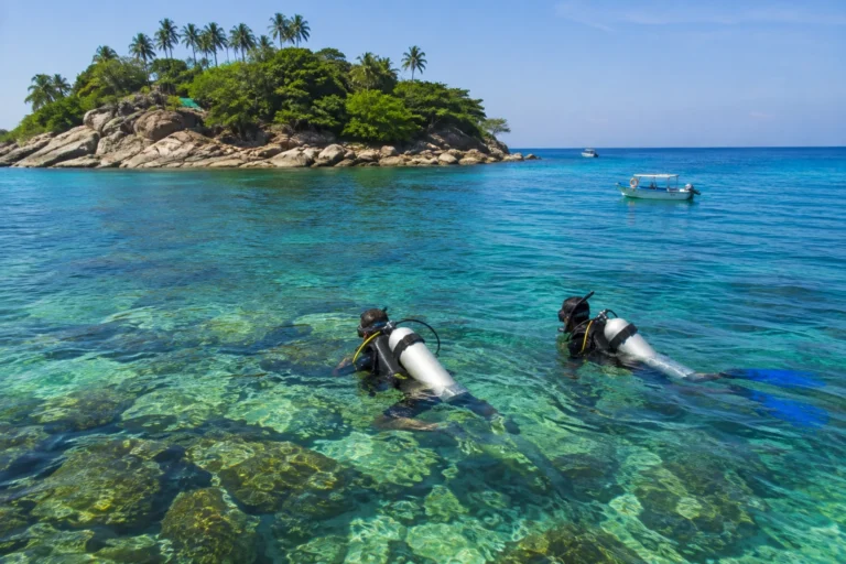 Reef Entry Point, Goa