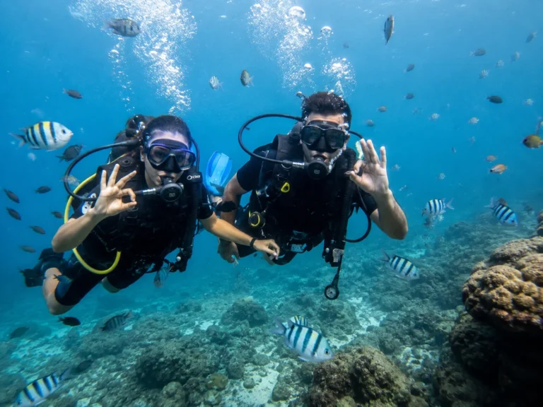 Scuba Diving, Goa
