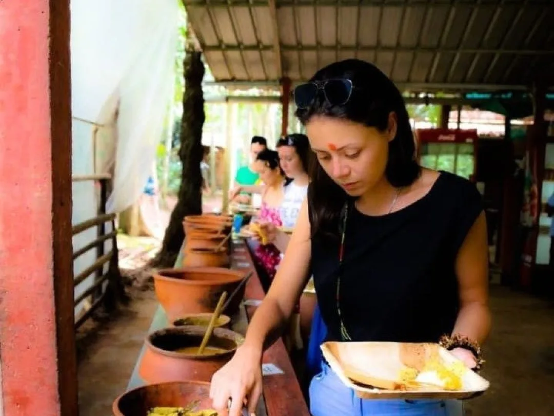 Spice plantation at Goa