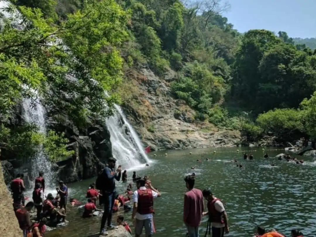 Swimming at the base of Dudhsagar Waterfall