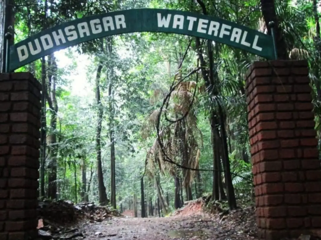 AC coach pickup for Dudhsagar monsoon trek, Goa